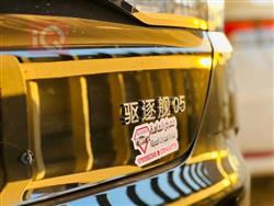 بي واي دي ديستروير 05